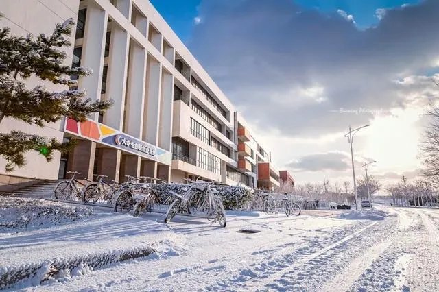 国二C语言好还是office好