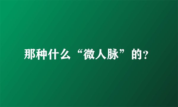 那种什么“微人脉”的？