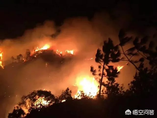 珠海凤凰山景区环境怎么样？值得一游吗？