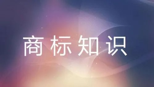 关于恶意注册囤积商标的行为，国知局是如何回应的？