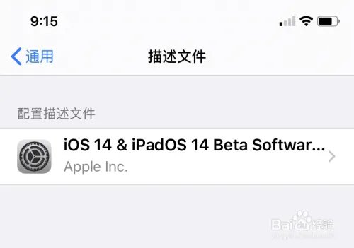 苹果 iOS14 测试版怎么升级？iOS 14 抢先体验