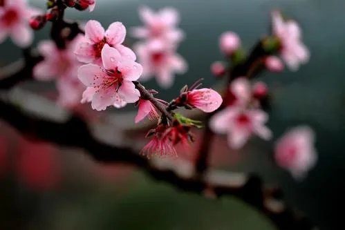 好听的中国民谣