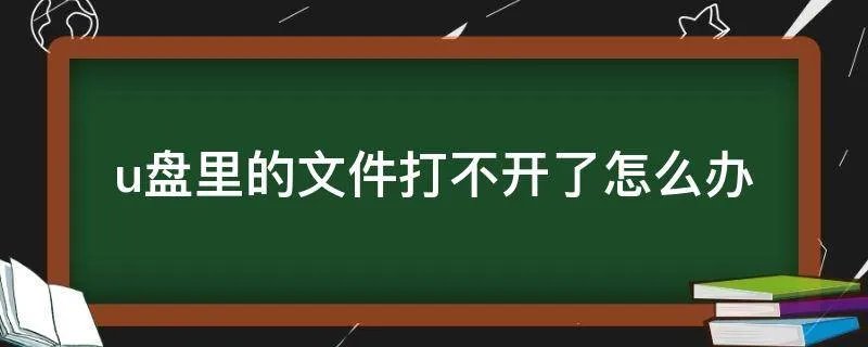 u盘里的文件打不开了怎么办