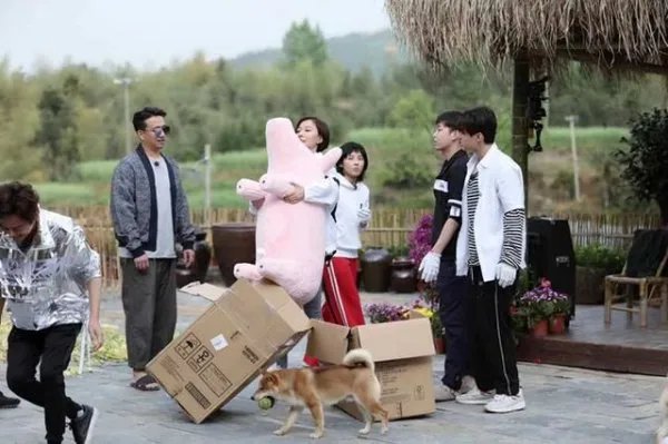 《向往的生活》锅碗瓢盆四条狗，现在过的怎么样了？