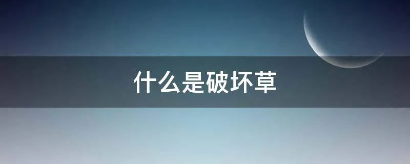 什么是破坏草