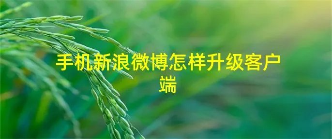 手机新浪微博怎样升级客户端