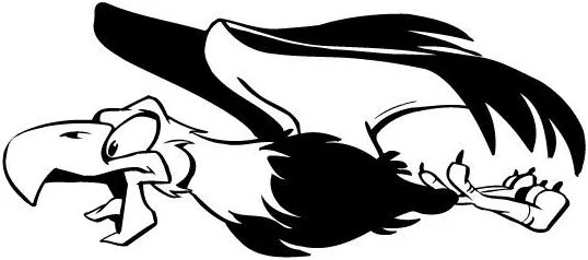 为什么秃鹫的头是秃的？