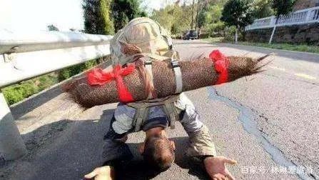 中国最著名苦行僧