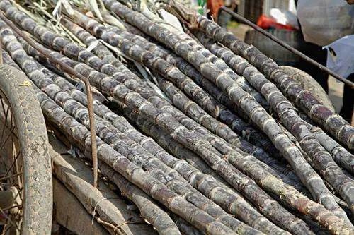 为什么很多水果店都不愿意卖甘蔗？