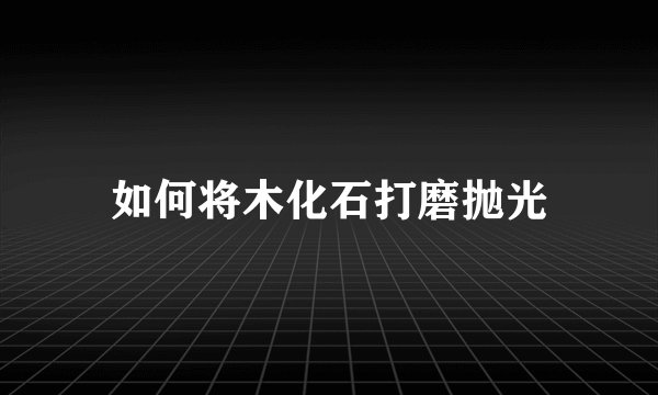 如何将木化石打磨抛光