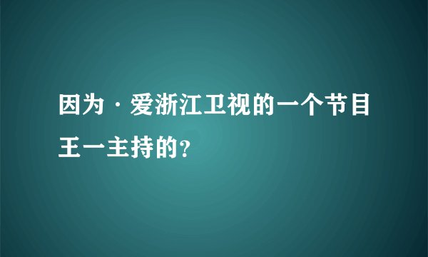 因为·爱浙江卫视的一个节目王一主持的？