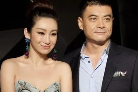 秦海璐结过几次婚？