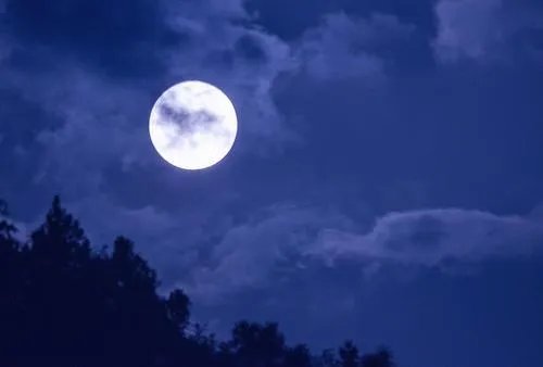 电影十五的月亮大结局？