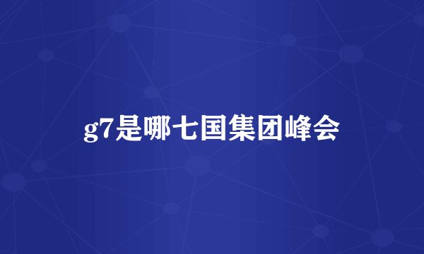 g7是哪七国集团峰会