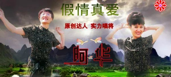 “你是假的情，我是真的爱”这首歌的歌名是什么？