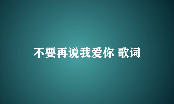 不要再说我爱你 歌词