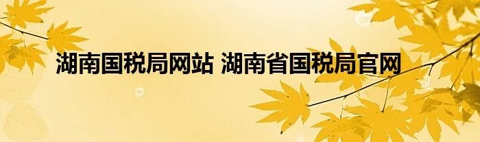 湖南国税局网站 湖南省国税局官网