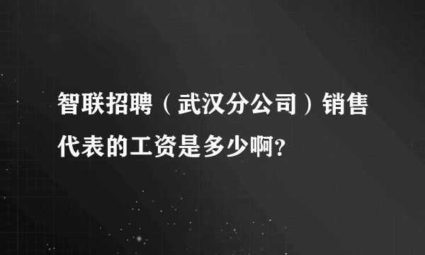 智联招聘（武汉分公司）销售代表的工资是多少啊？