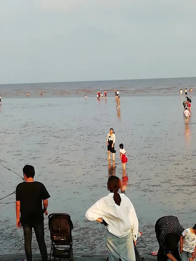 请问上海周边100公里左右自驾游有哪些景点推荐？