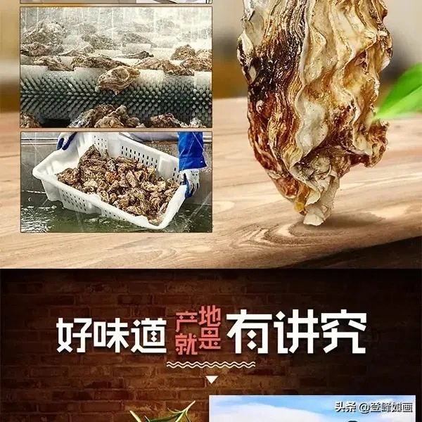 什么是最好的乳山牡蛎？