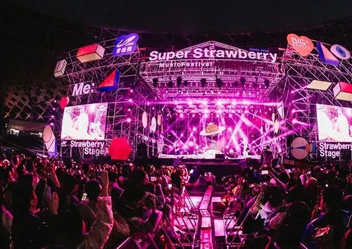 2019上海草莓音乐节青年文化市集需要买门票才能进去吗