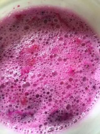 红心火龙果酵素