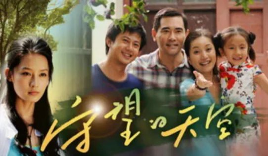 林申演过的哪些值得一看的电视剧？