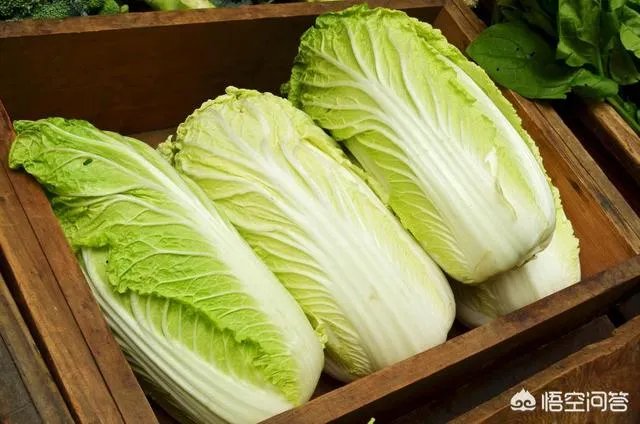 如何识别出甲醛白菜?