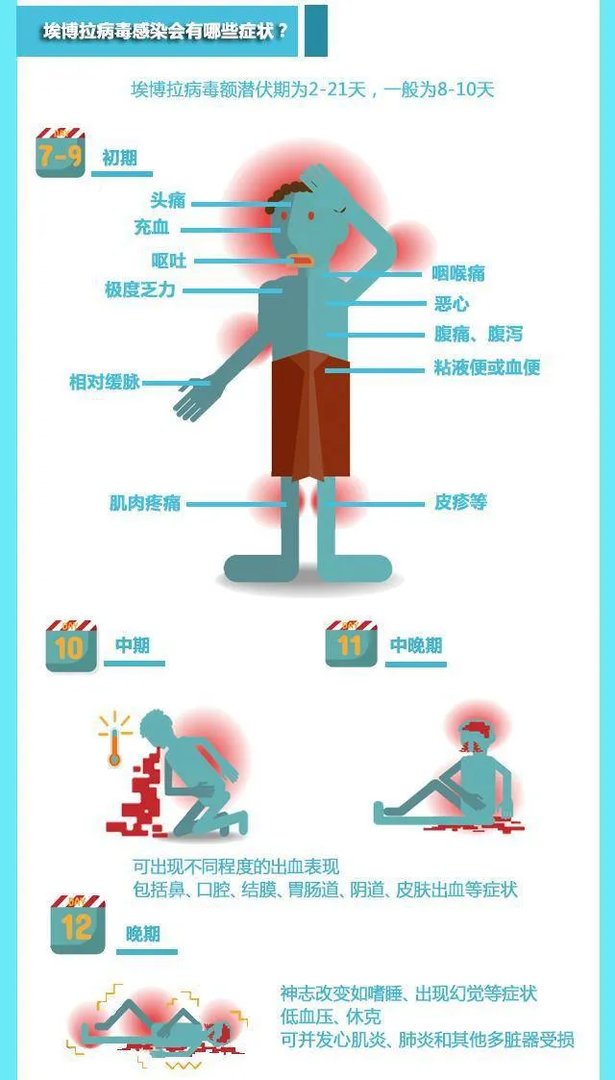 全球卫生紧急事件？一图看懂：90%致死率的“埃博拉”到底是什么