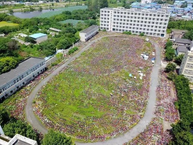 共享单车在多地被叫停投放，你怎么看？