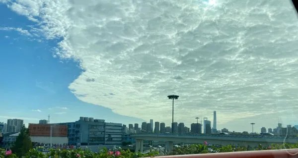 中国禁止进口澳大利亚煤炭期货是利多还是利空？