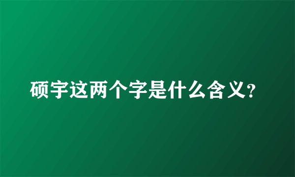 硕宇这两个字是什么含义？