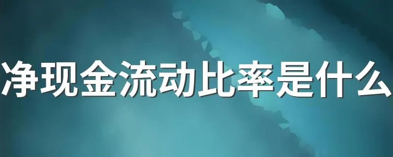 净现金流动比率是什么 什么是净现金流动比率