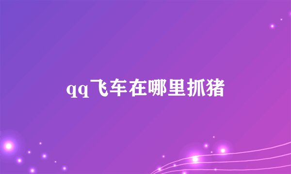 qq飞车在哪里抓猪
