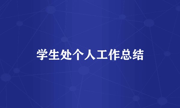 学生处个人工作总结