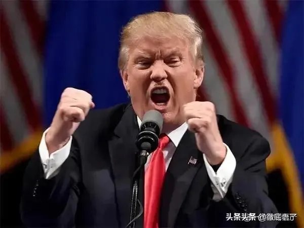 拜登支持率领先特朗普两位数，美国民调靠谱吗？