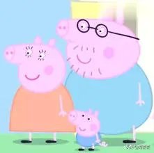 美国市场无肉可卖，为何养殖户却对猪进行安乐死，尸体堆积如山？