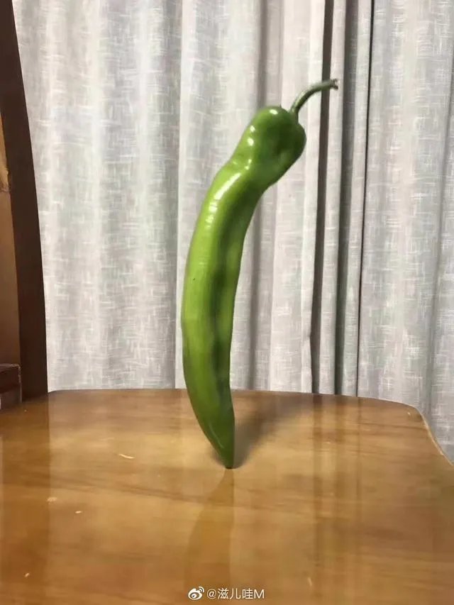 昨天“立扫把”，今天倒立上厕所？沙雕网友的脑洞有多大！