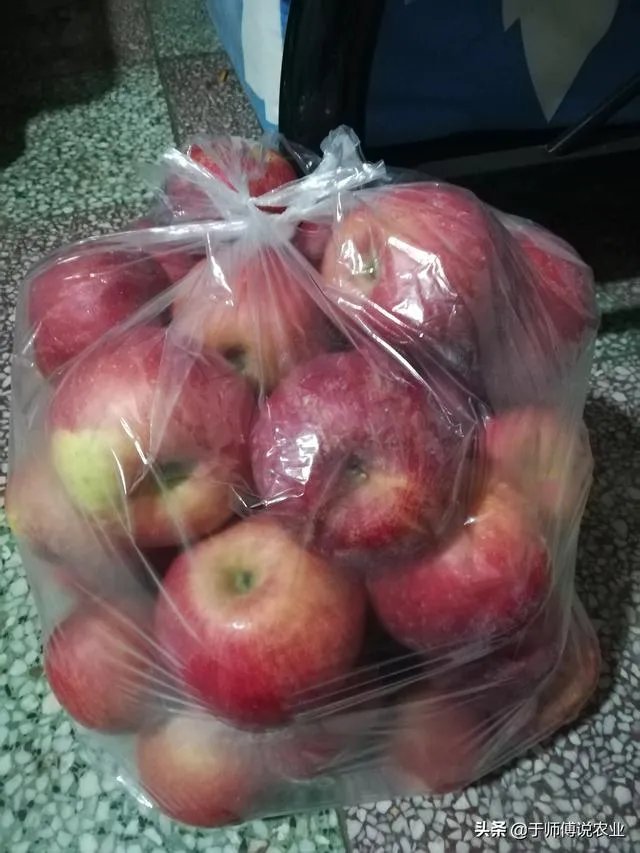 有机农业到底应该怎么做？市场上有几个农产品，是真正达到有机农产品的标准呢？