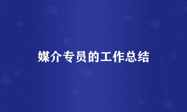 媒介专员的工作总结