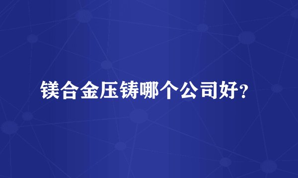 镁合金压铸哪个公司好？