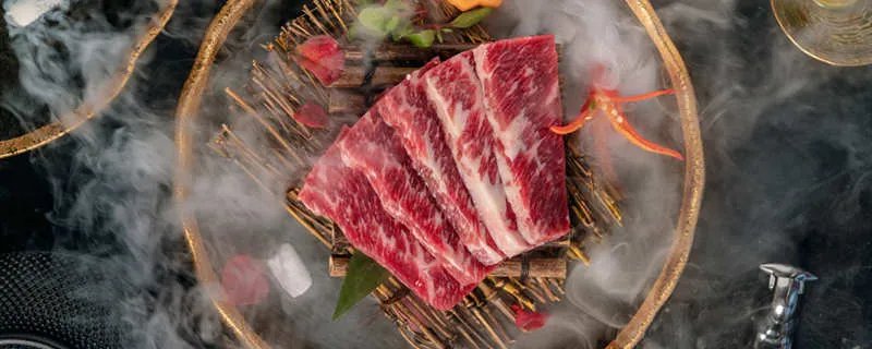 比熊犬应忌食哪些食物 比熊犬能吃什么食物