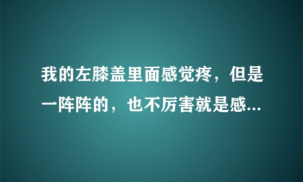 我的左膝盖里面感觉疼，但是一阵阵的，也不厉害就是感觉不舒服