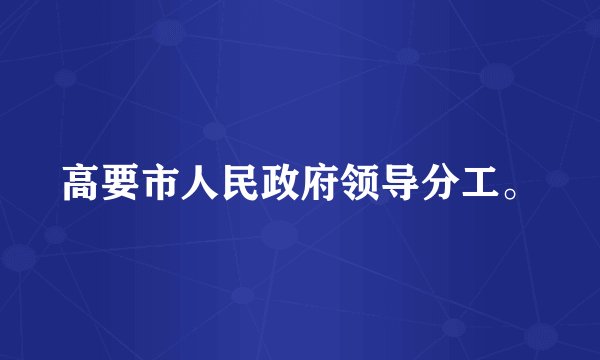 高要市人民政府领导分工。