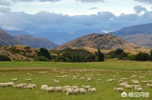 尼康d3200现在怎么样,价格如何?