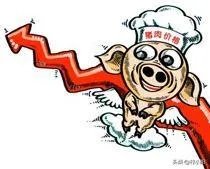 请问现在猪肉价格为啥居高不下，什么时候能降下来？