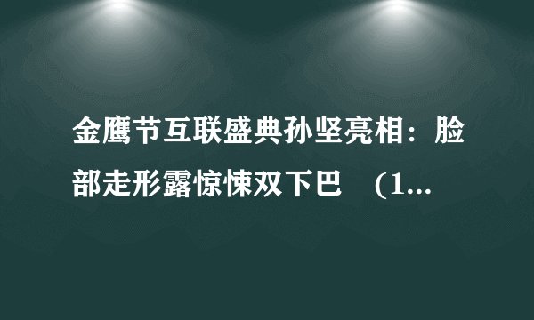 金鹰节互联盛典孙坚亮相：脸部走形露惊悚双下巴　(15/25)