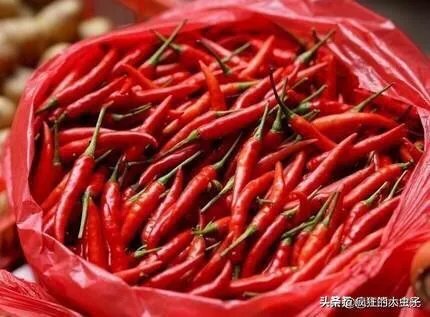 如何切辣椒不辣手？