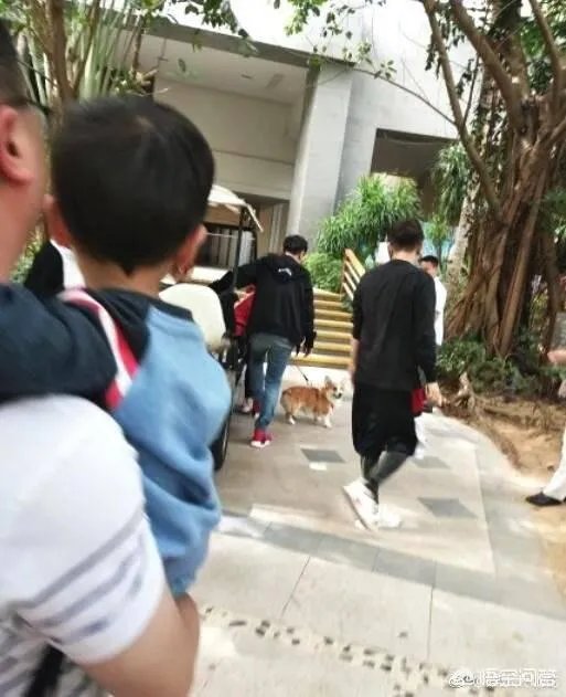 网传王思聪又换女友了,是真的吗?