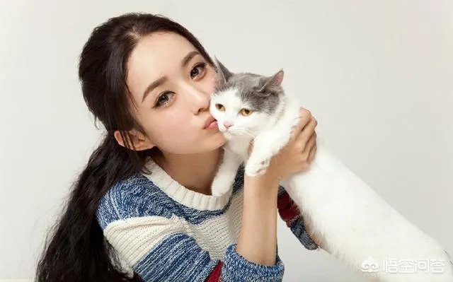 赵丽颖因消耗过度而停工